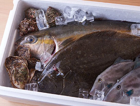 石川の鮮魚